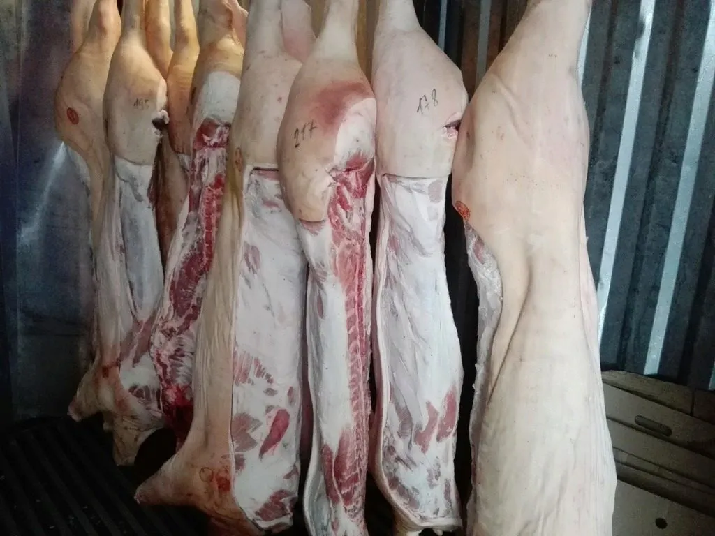 Фотография продукта Свинина  в полутушах. 202 р/кг