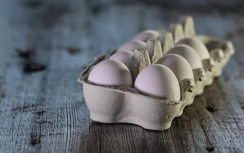 Птицефабрика «Пышминская» начала выпускать кассеты для яиц