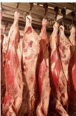 фотография продукта Мясо оптом, промзабой, говядина, свинина