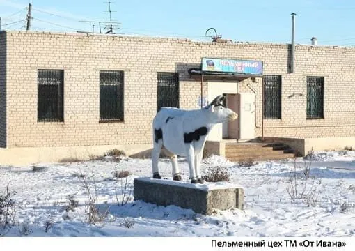 пельмени, котлеты и др полуфабрикаты в Челябинске 3
