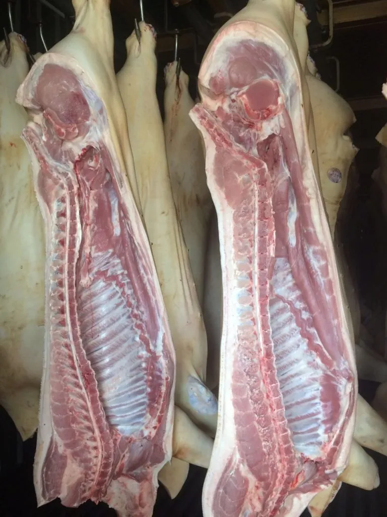 Фотография продукта Мясо свинины в тушах и п/туши 2 кат. охл
