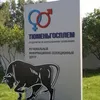 сперма быков -производителей в Тюмени 5