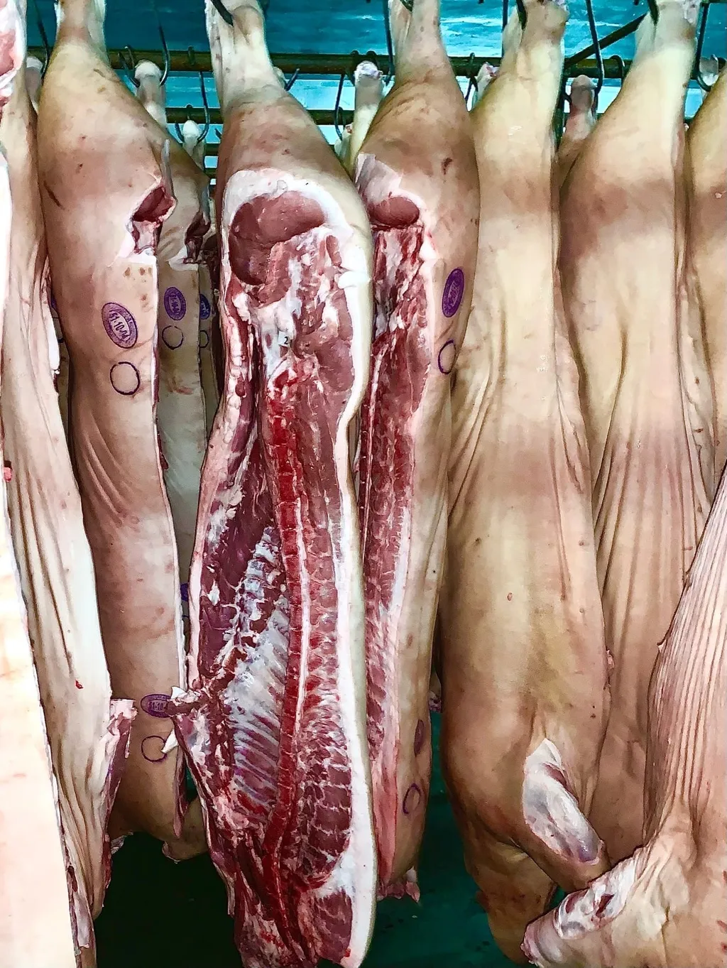 мясо свинины в Тюмени
