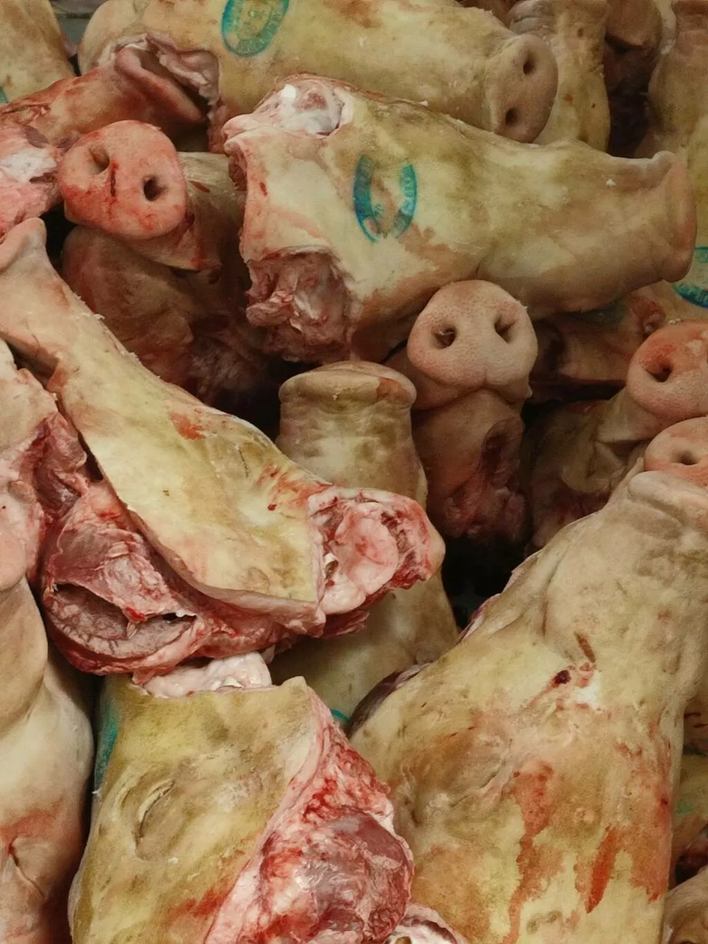 фотография продукта Головы свиные грабленые